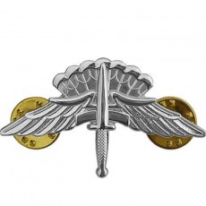 [Vanguard] Army Badge: Freefall Jump Wings Halo - regulation size, mirror finish
