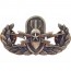 [Best Emblem & Insignia] Senior Explosive Ordnance Disposal Oxdized Finish