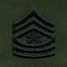 [Best Emblem & Insignia] Rank Insignia: Sergeant Major - Subdued / 미육군 원사 계급장
