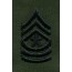 [Best Emblem & Insignia] Rank Insignia: Sergeant Major - Subdued / 미육군 원사 계급장
