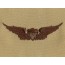 [Best Emblem & Insignia] US Army Aviator - Desert / 미육군 파일럿 패치