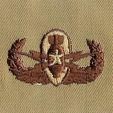 [Best Emblem & Insignia] Army Patch: Explosive Ordnance Disposal: Senior - Desert / 미육군 폭발물처리반 패치