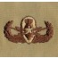 [Best Emblem & Insignia] Army Patch: Explosive Ordnance Disposal: Senior - Desert / 미육군 폭발물처리반 패치