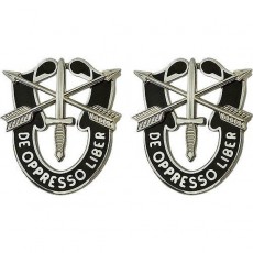 [Vanguard] Army Crest: First Special Forces - De Oppresso Libe / 미육군 크레스트 : 제1특전단