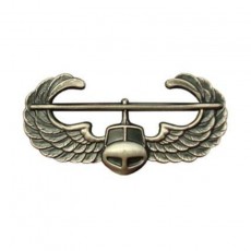 [Vanguard] Army Badge: Air Assault - silver oxidized / 미육군 공중강습 무광 배지