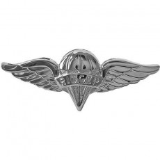 [Vanguard] Army Badge: Parachute Rigger - mirror finish / 미육군 낙하산 정비사 유광 배지