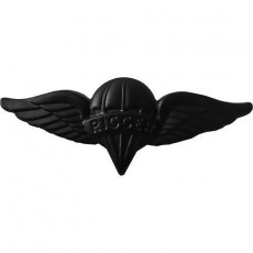 [Vanguard] Army Badge: Parachute Rigger - black metal / 미육군 낙하산 정비사 검정 배지