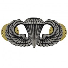 [Vanguard] Army Badge: Parachute - silver oxidized / 미육군 낙하산(공수) 무광 배지