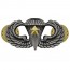 [Vanguard] Army Badge: Combat Parachute Fifth Award - silver oxidized / 미육군 낙하산(공수) 무광 배지