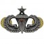 [Vanguard] Army Badge: Senior Combat Parachute First Award - silver oxidized / 미육군 낙하산(공수) 무광 배지