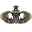 [Vanguard] Army Badge: Senior Combat Parachute Third Award - silver oxidized / 미육군 낙하산(공수) 무광 배지