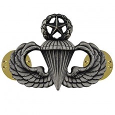 [Vanguard] Army Badge: Master Parachute - silver oxidized / 미육군 낙하산(공수) 무광 배지