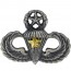 [Vanguard] Army Badge: Master Combat Parachute Fifth Award - silver oxidized / 미육군 낙하산(공수) 무광 배지