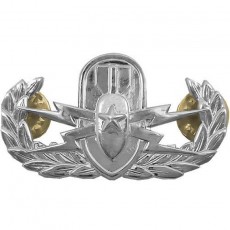 [Vanguard] Army Badge: Senior Explosive Ordnance Disposal - Mirror Finish / 폭발물 처리반 유광 배지