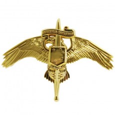 [Vanguard] Marine Corps Badge: MARSOC Marine Corps Forces Special Operations Command