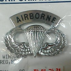 [Best Emblem & Insignia] Airborne Parawing / 에어본 파라윙 뱃지