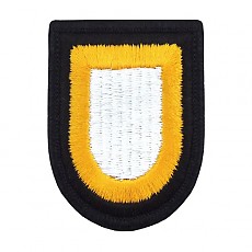 [Best Emblem & Insignia] 101st Airborne Flash / 미육군 제101공수사단 플래시