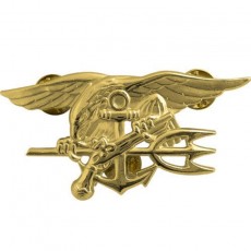 [Vanguard] Navy Badge: Special Warfare - regulation size / 미해군 특수전 휘장, 네이비씰 배지