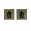 [Vanguard] Army Embroidered OCP with Hook Rank Insignia: First Sergeant