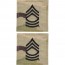 [Vanguard] Army Embroidered OCP with Hook Rank Insignia: Master Sergeant