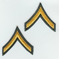 Army Chevron: Private - gold embroidered on green, male