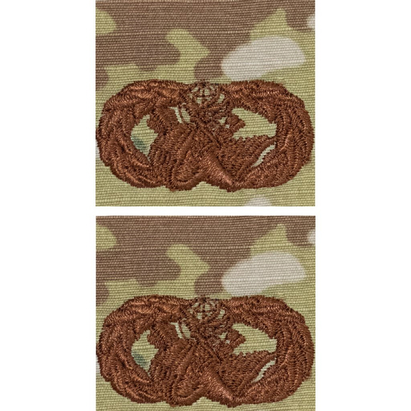 [Vanguard] Air Force Embroidered Badge: Logistics Readiness - OCP