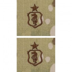 [Vanguard] Air Force Embroidered Badge: Dentist: Senior - embroidered on OCP