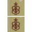 [Vanguard] Air Force Embroidered Badge: Medical Technician: Senior - embroidered on OCP