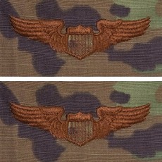 [Vanguard] Air Force Embroidered Badge: Pilot - OCP