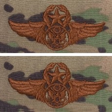 [Vanguard] Air Force Embroidered Badge: Aircrew: Chief - embroidered on OCP