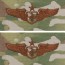 [Vanguard] Air Force Embroidered Badge: Flight Nurse: Senior - embroidered on OCP