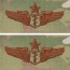 [Vanguard] Air Force Embroidered Badge: Flight Surgeon: Senior - embroidered on OCP