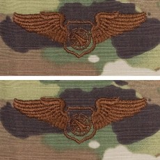 [Vanguard] Air Force Embroidered Badge: Air Battle Manager - OCP
