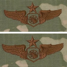 [Vanguard] Air Force Embroidered Badge: Air Battle Manager: Senior - embroidered on OCP