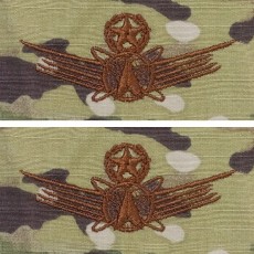[Vanguard] Air Force Embroidered Badge: Command Space - embroidered on OCP