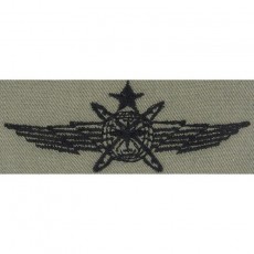[Vanguard] Air Force Embroidered Badge: Cyberspace Operator: Senior