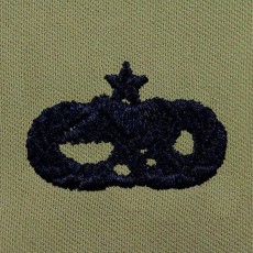 [Vanguard] Air Force Embroidered Badge: Maintenance: Senior