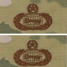 [Vanguard] Air Force Embroidered Badge: Intelligence: Master - embroidered on OCP