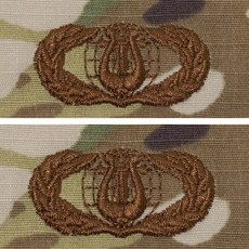 [Vanguard] Air Force Embroidered Badge: Band - embroidered on OCP