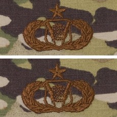 [Vanguard] Air Force Embroidered Badge: Logistics Readiness: Senior - embroidered on OCP