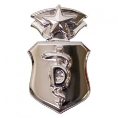 [Vanguard] Air Force Badge: Dentist: Chief