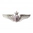 [Vanguard] Air Force Badge: Pilot: Senior - regulation size