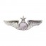 [Vanguard] Air Force Badge: Aircrew: Senior - regulation size