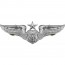 [Vanguard] Air Force Badge: Officer Aircrew: Senior - regulation size