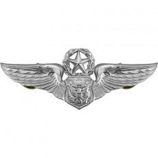 [Vanguard] Air Force Badge: Officer Aircrew: Master - regulation size