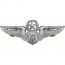 [Vanguard] Air Force Badge: Officer Aircrew: Master - regulation size