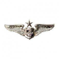 [Vanguard] Air Force Badge: Flight Surgeon: Senior - regulation size