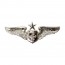 [Vanguard] Air Force Badge: Flight Surgeon: Senior - regulation size