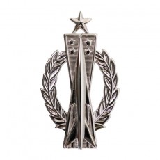[Vanguard] Air Force Badge: Missile Operator: Senior - regulation size