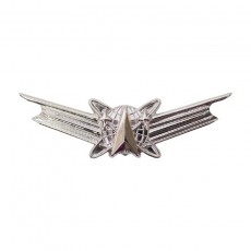 [Vanguard] Air Force and Army Badge: Space Basic- regulation size